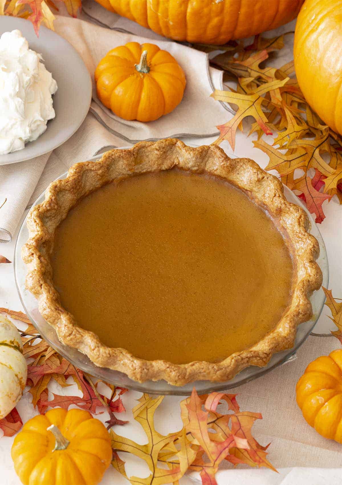 Pumpkin Pie Pumpkin Pie